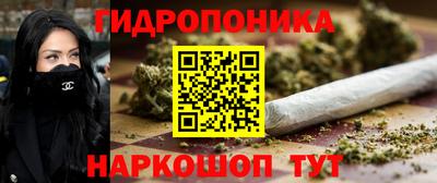 индика Шебекино