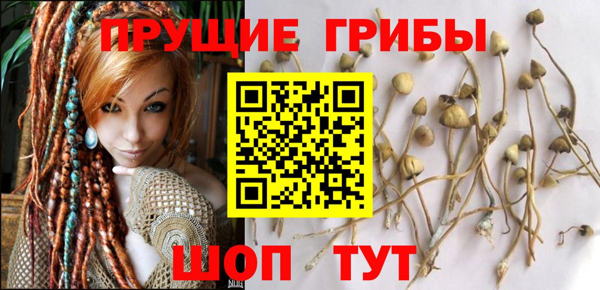 Псилоцибиновые грибы ЛСД Шатура