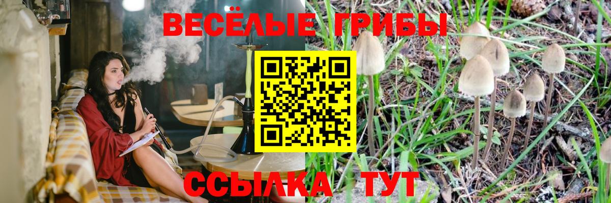 Псилоцибиновые грибы GOLDEN TEACHER  Вход с VPN  Шатура  Галлюциногенные грибы мицелий 